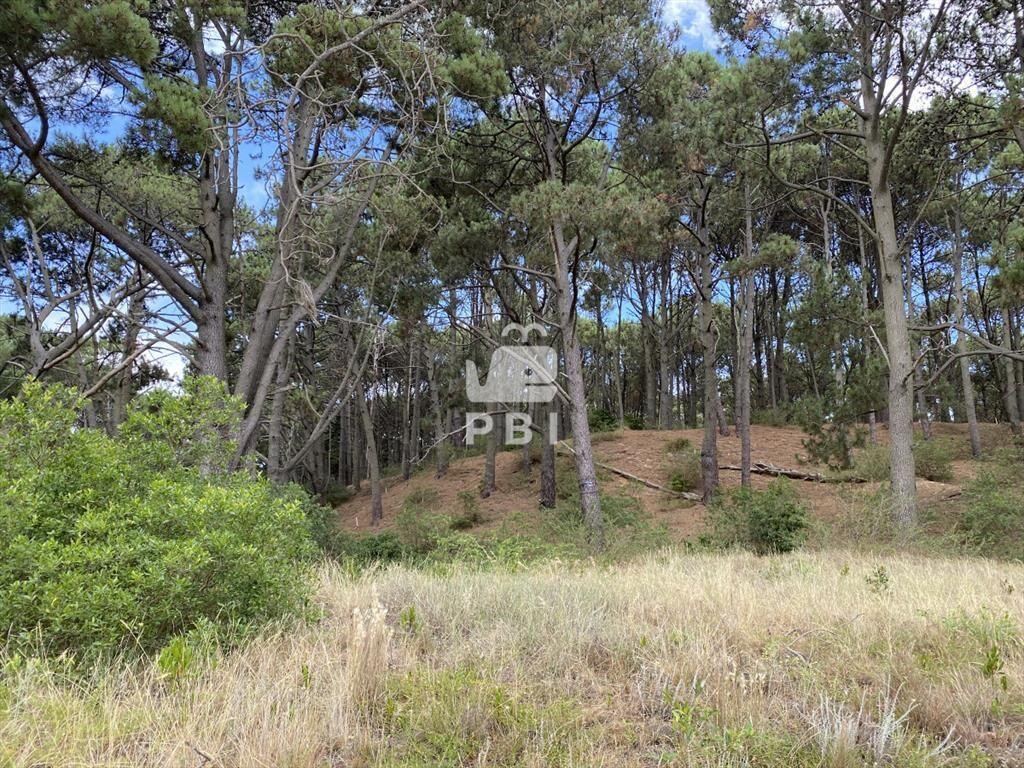Venta de Terreno en Club del Lago - Ref :