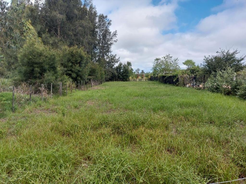 Terreno en venta en camino Cerro Eguzquiza