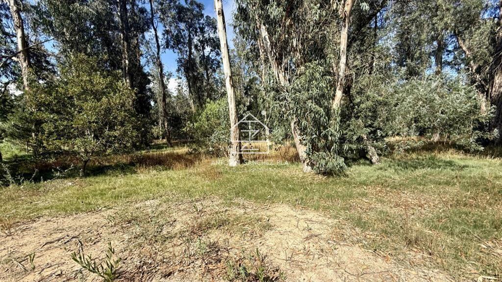 VENTA TERRENO MANGRULLOS EL CHORRO LA BARRA PUNTA