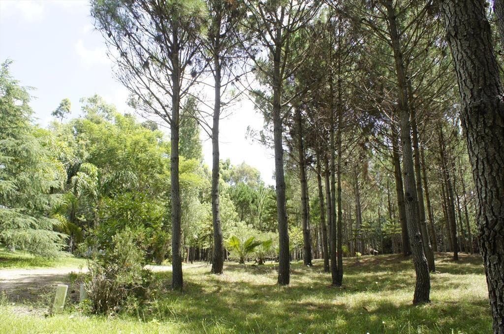 Venta Chacra Marítima Rocha 32ha Ruta 10 Lado Sur cerca del