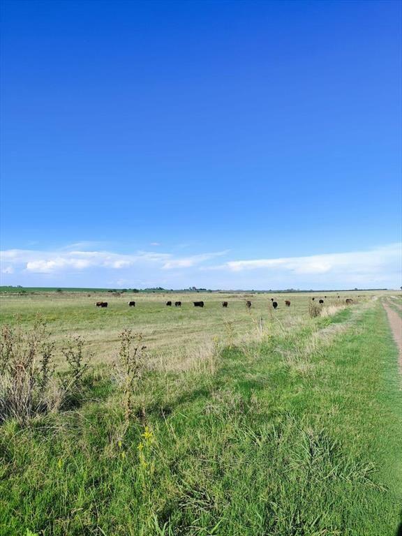 Venta de campo agricola ganadero en Young Rio Negro