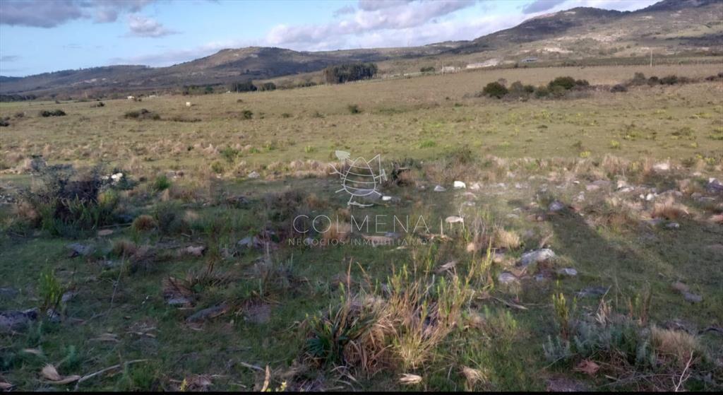 Campos de 6 y 5 has en los Caracoles 35 minutos