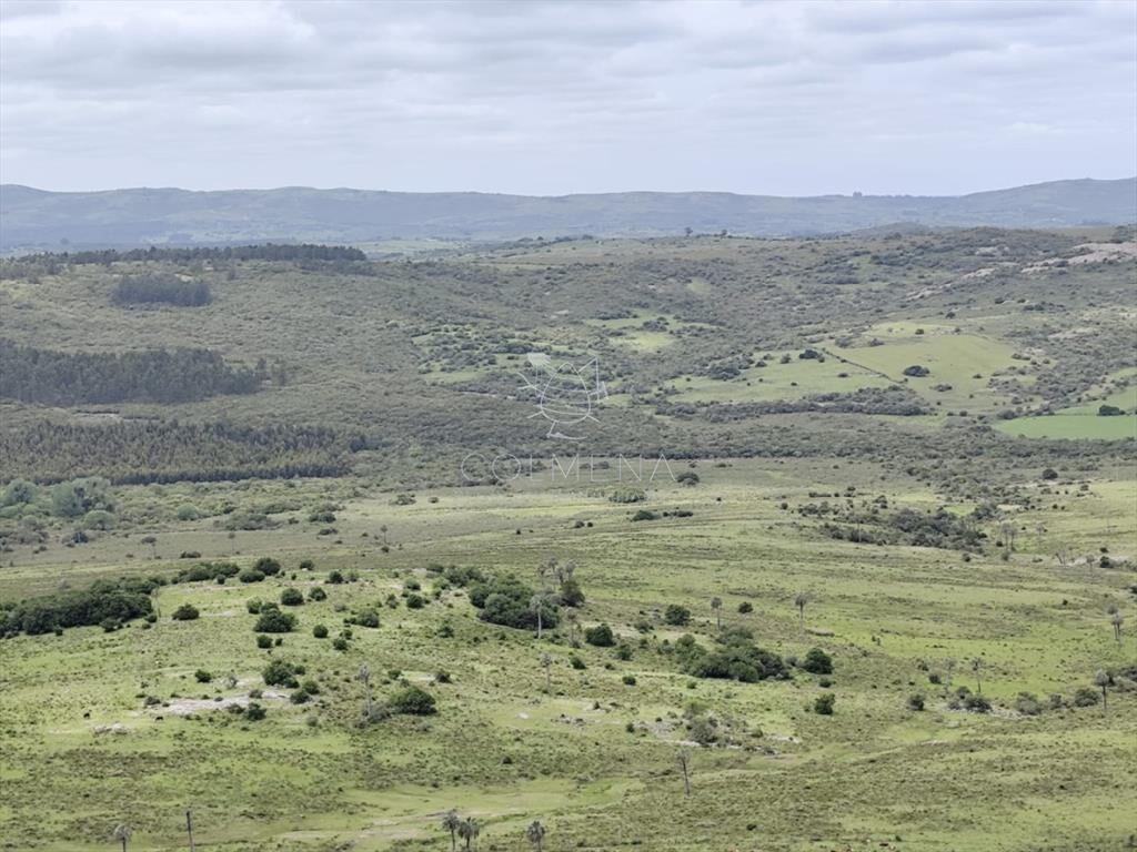 Campo de 200 hás en el departamento de Maldonado