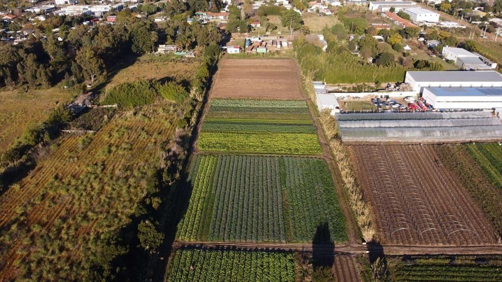 OPORTUNIDAD 900 MT TERRENO SAN JOSE CARRASCO