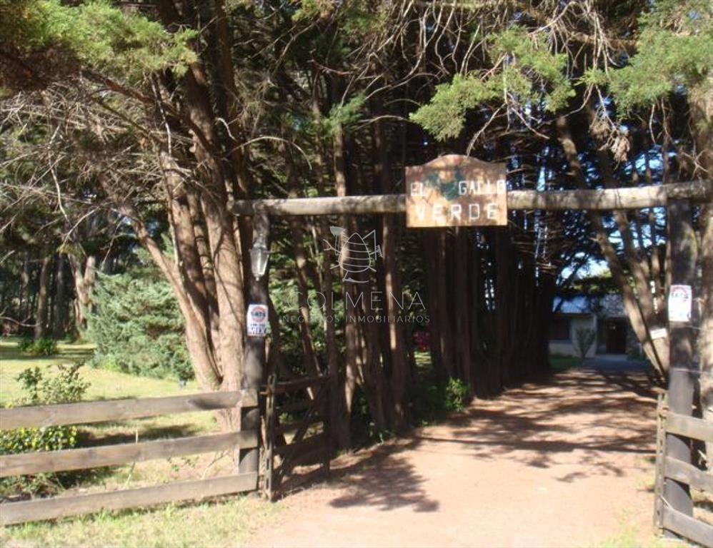 Camino Lussich, Punta Ballena