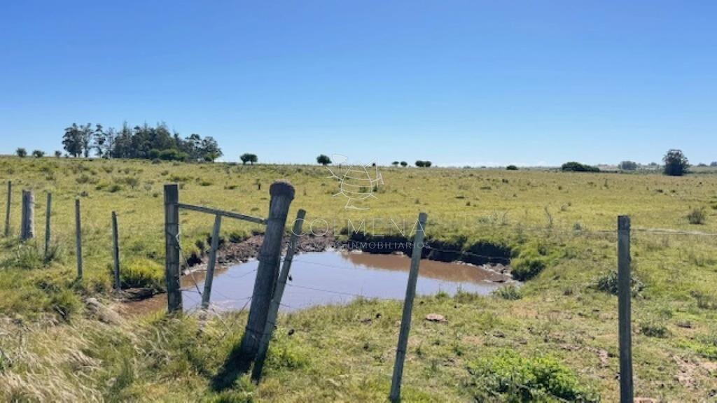 Se venden 2 chacras a 15 km de San Carlos