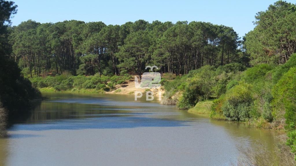 Terreno en Chihuahua, Punta Ballena - Ref : PBI3045