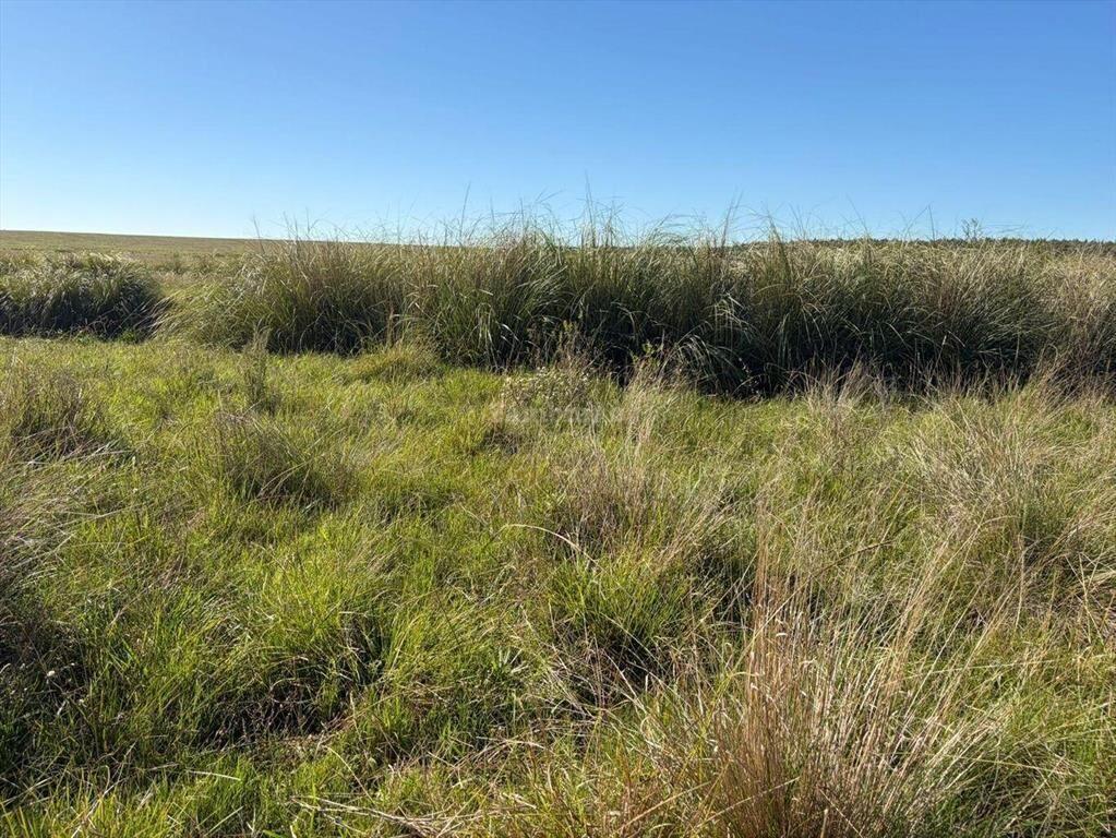 Venta Campo Durazno