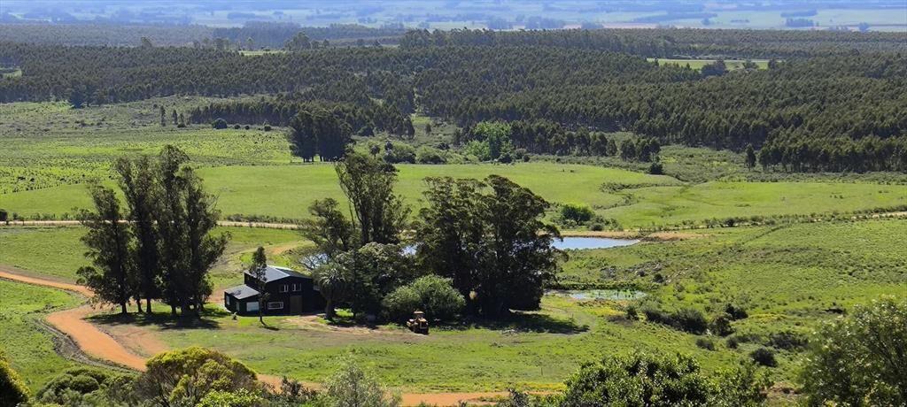 Venta de chacras de 5 hectáreas en Lavalleja, cerca de Mina