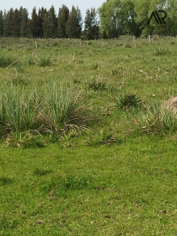 Chacra en venta de 10ha ubicado en San Carlos