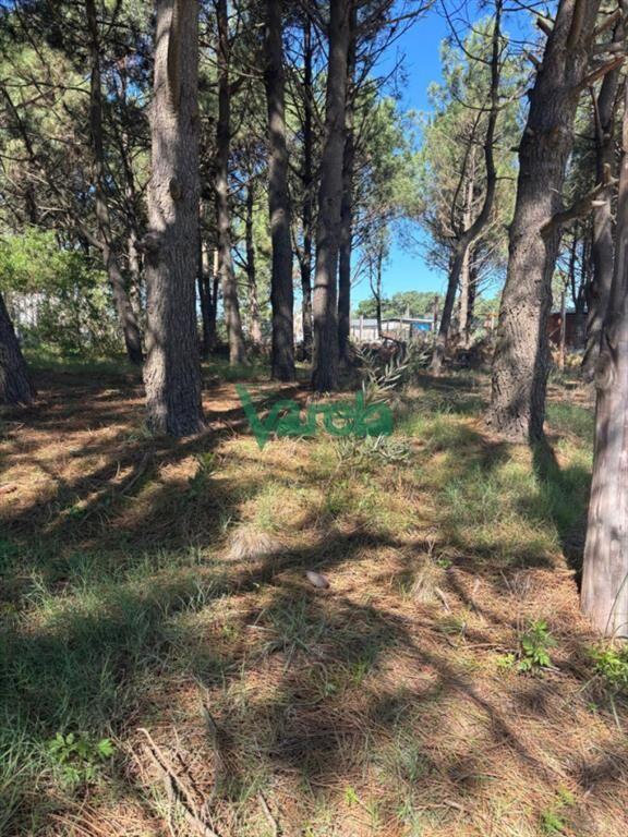 Venta terrenos Solymar , Entrega $ 300.000 más cuotas de 1