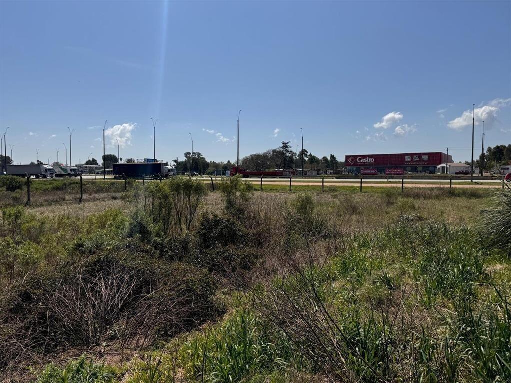 5 naves de 10.590 m2 mas oficinas, próximo Mdeo y Puerto. 1