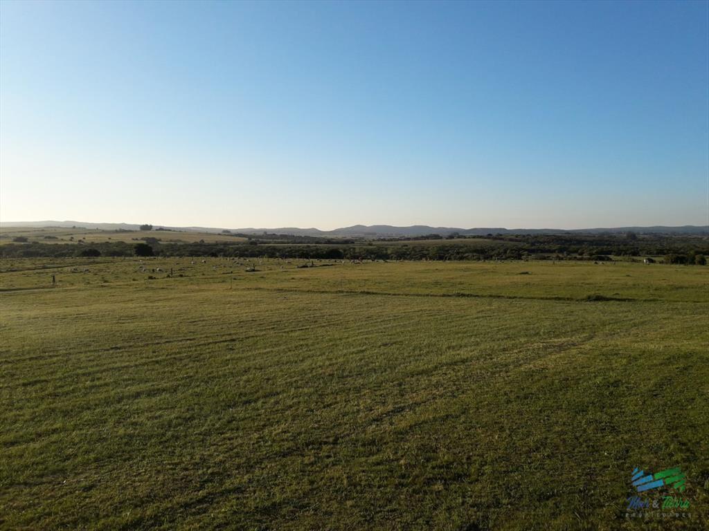 Muy lindo campo en Jose Ignacio con importante y