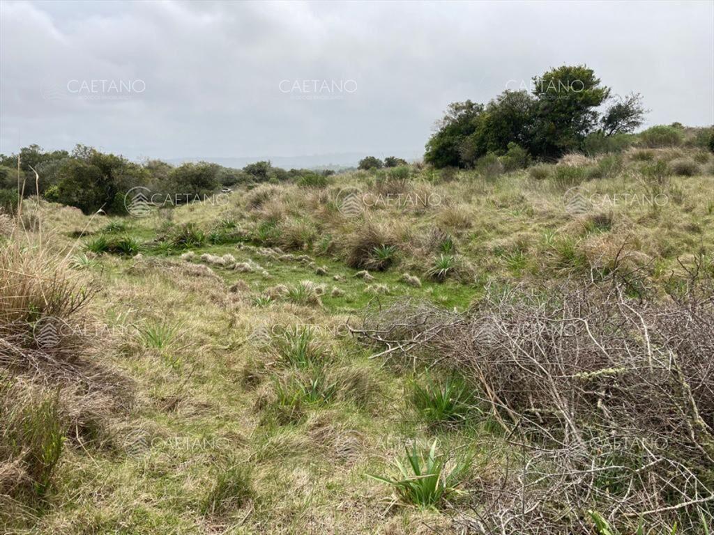 Venta chacra 7 hectáreas, Ruta 39