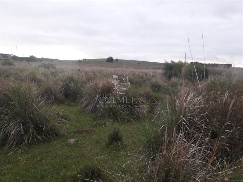 Campo de 47 has en Paraje los Caracoles - !!!!!
