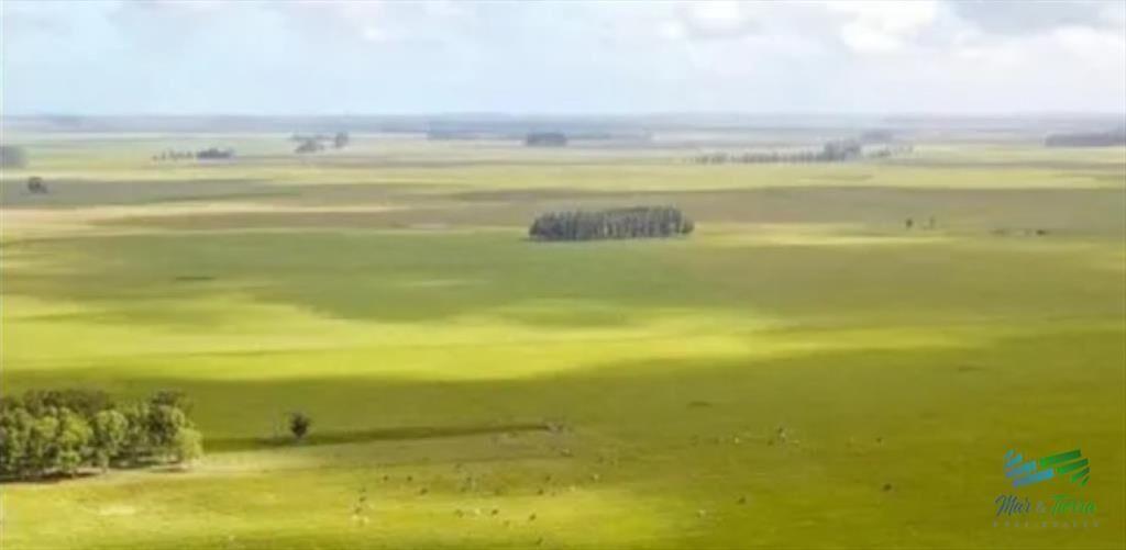 Excelente Estancia Completa Agrícola-Ganadera, y