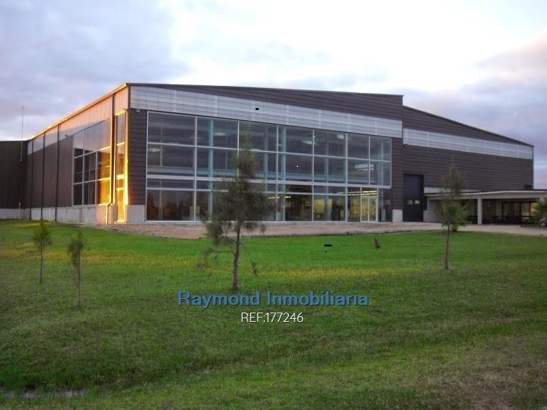 Alquiler Local 5560m2 edif. 5 has de terreno. San José