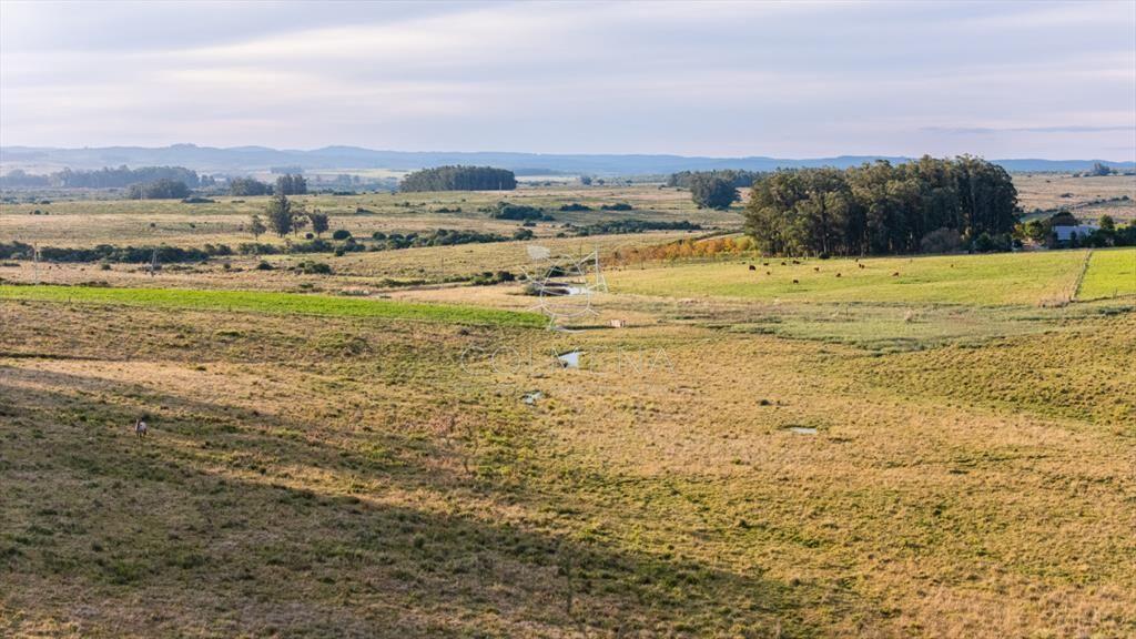 Venta campo 120 hectáreas, Garzón , Maldonado