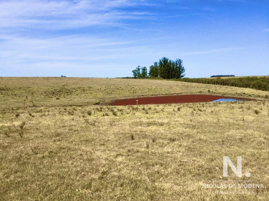 Campo productivo en zona José Ignacio
