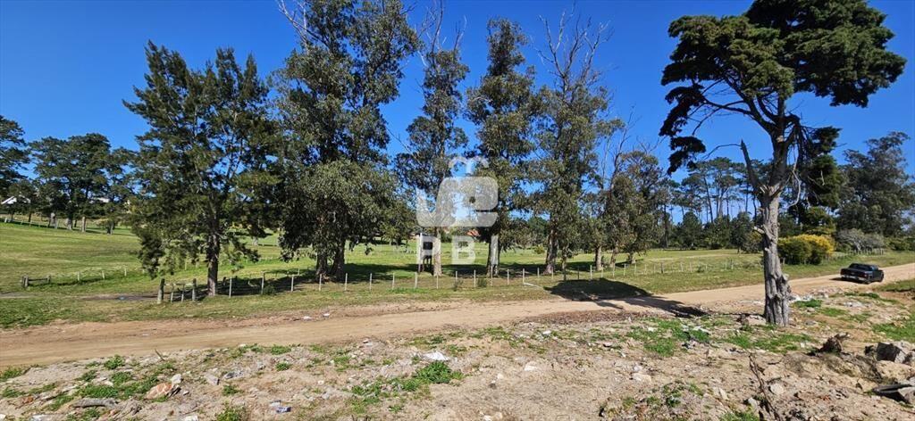 Terrenos en venta frente a Club de Golf de Punta