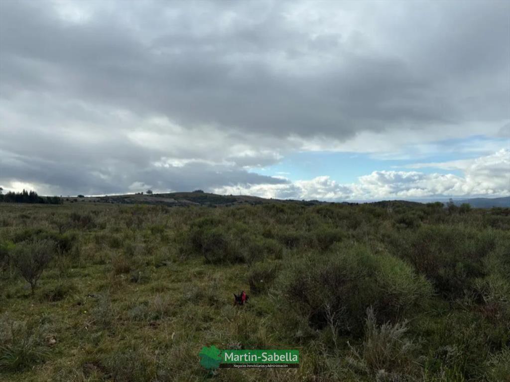 Campo en Venta - Lavalleja
