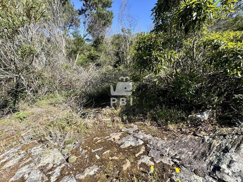 Venta terreno Las Cumbres Punta Ballena Punta del Este - Re