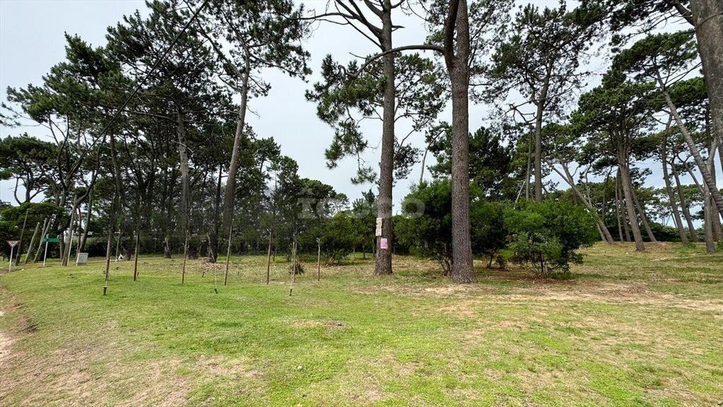 2 TERRENOS CON EXCELENTE UBICACIÓN EN PUNTA DEL ESTE