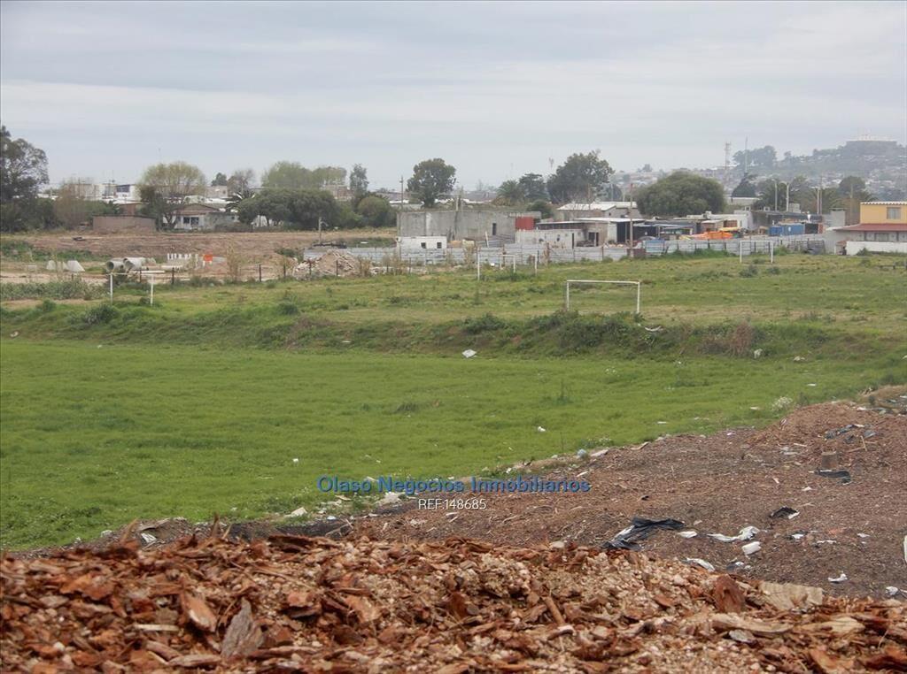 4 hás a la venta en CERRO NORTE