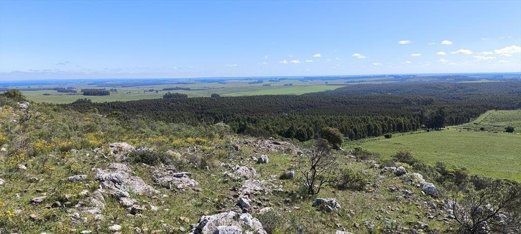 Venta de chacras de 5 hectáreas en Lavalleja, cerca de Mina