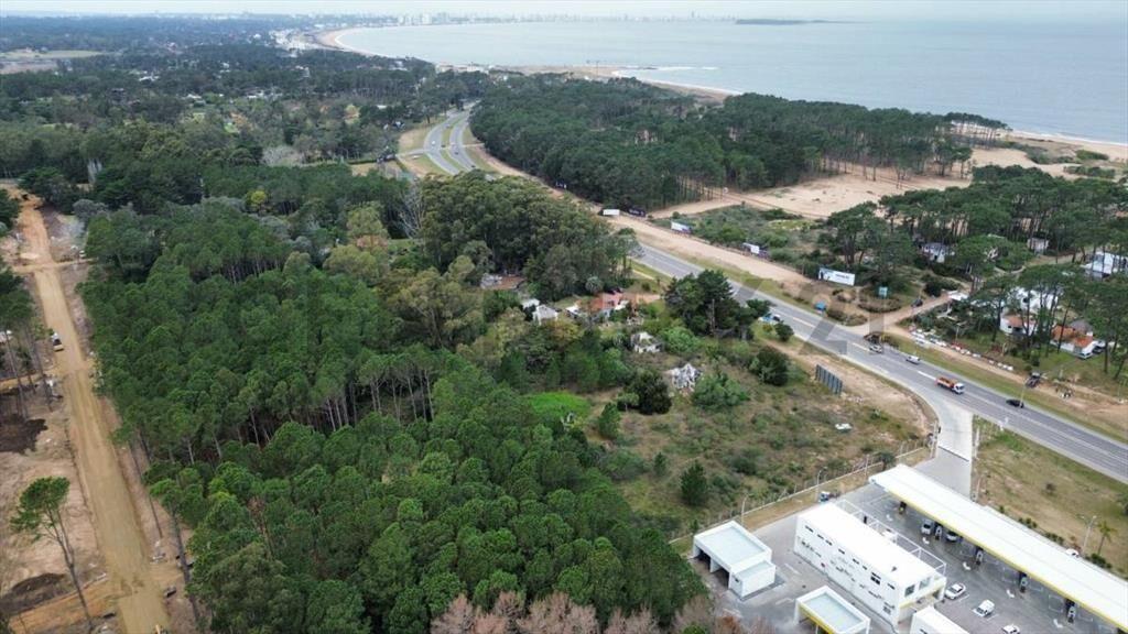 Punta Ballena sobre ruta /pegado estación  DISA /Lote 802...