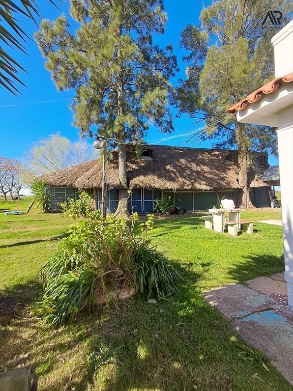 Chacra en venta de 45000m2 ubicado en Canelon Chico