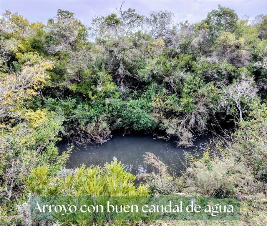 Chacra en Venta entre Ruta 12 y Ruta 60