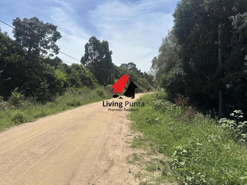 Hermoso terreno