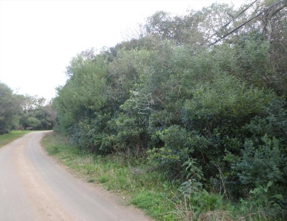Punta Ballena - Zona Rinconada