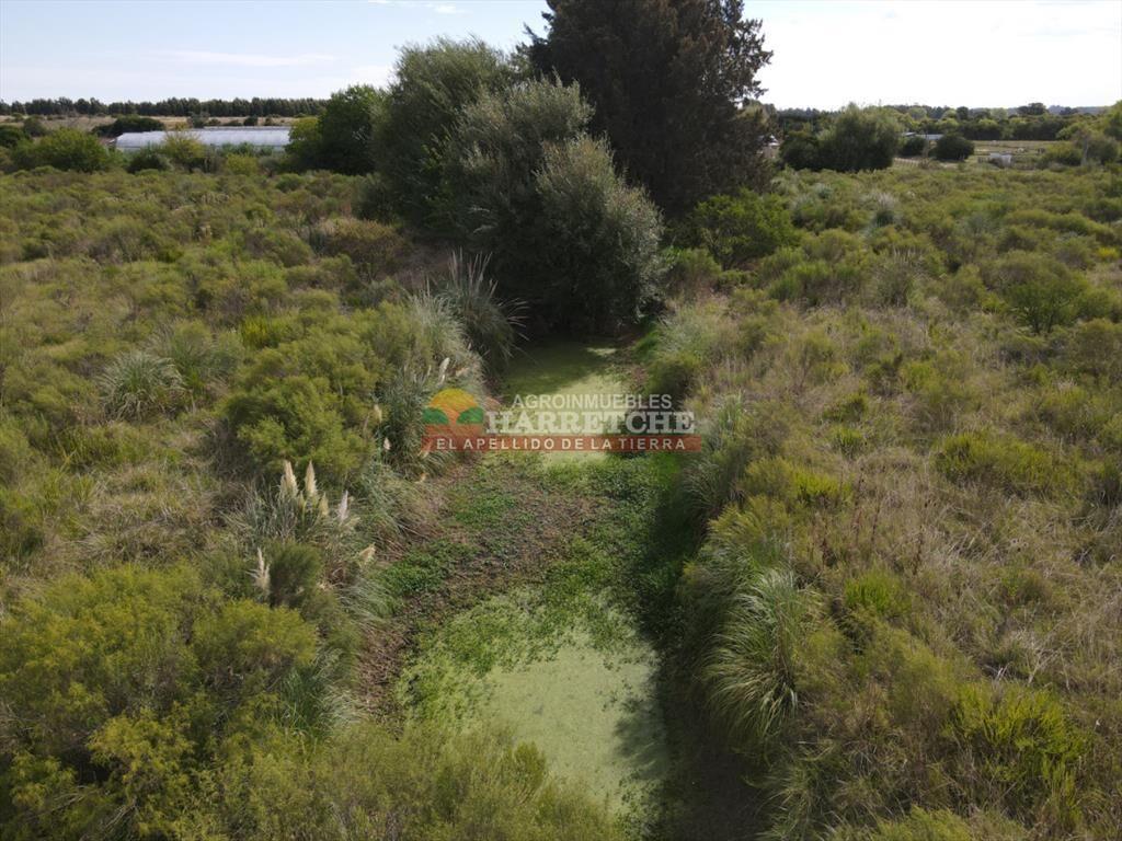 Chacra en Los Cerrillos, 4 has, monoambiente,