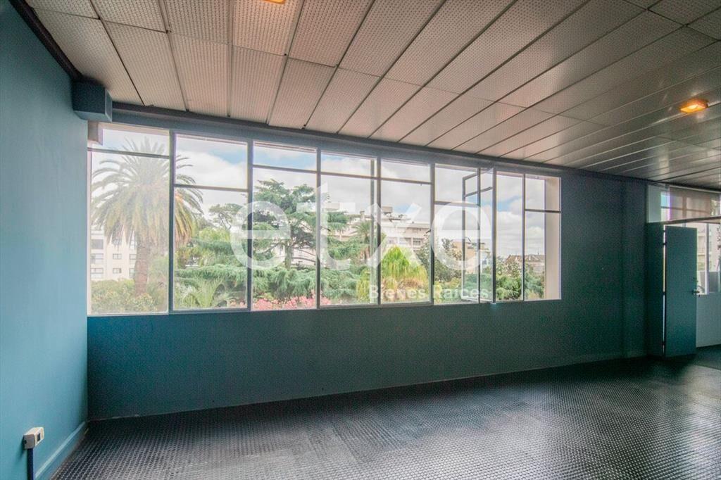 Apartamento Loft Venta CON RENTA en Plaza Zabala Ciudad V...