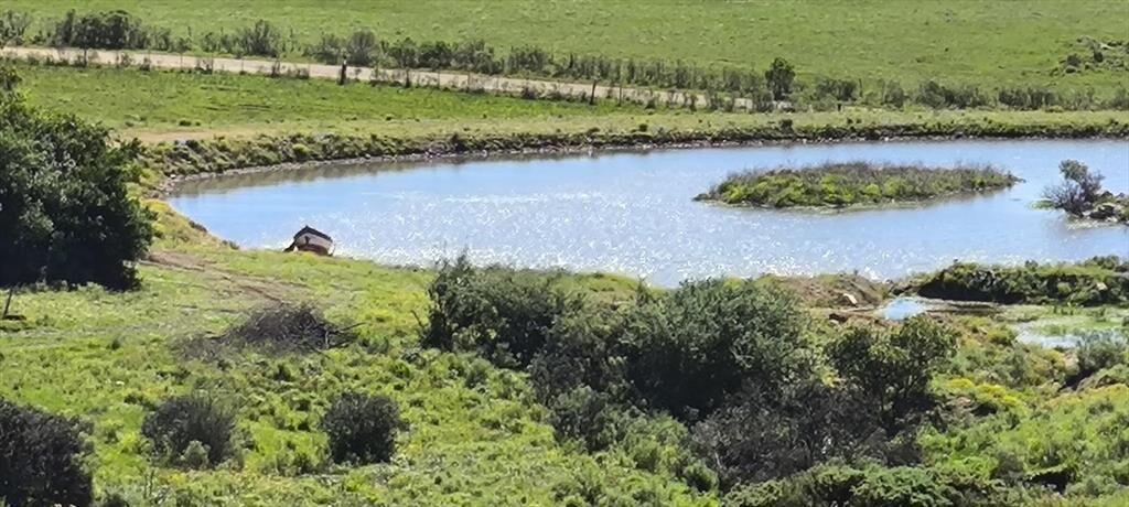 Venta de chacras de 5 hectáreas en Lavalleja, cerca de Mina