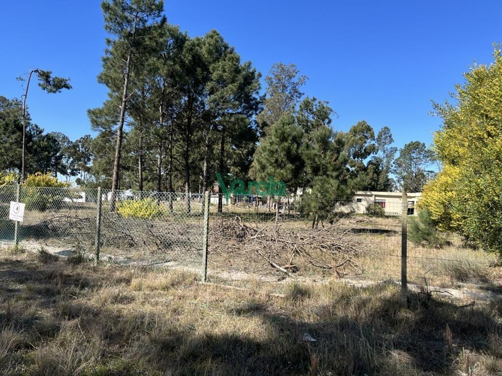 Terreno de 5608 m2 Pinar Sur , en venta .