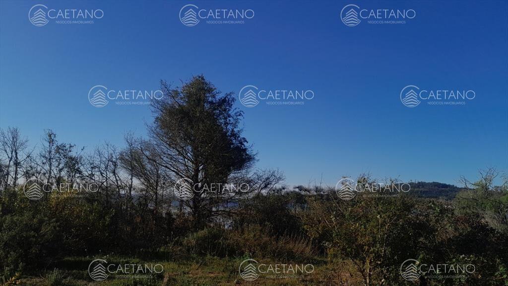 Directamente sobre la Laguna del sauce