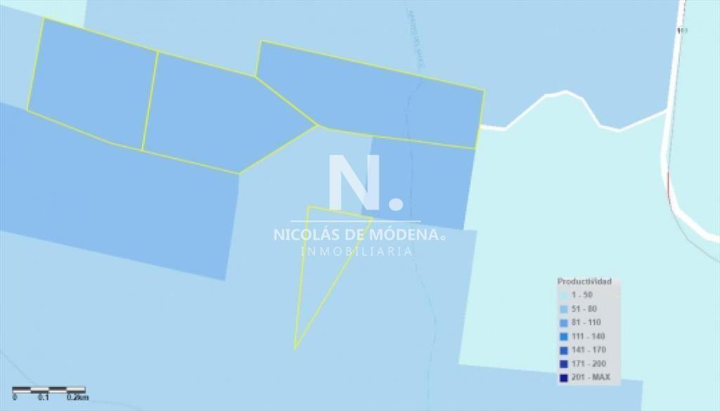 Campo Ganadero en Venta en Aigua