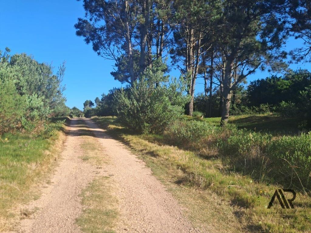 Terreno en venta en Punta del Diablo - Inversion