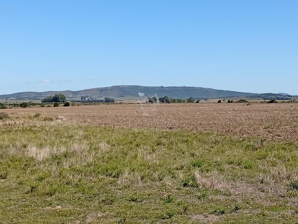 Campo 185 has - Paraje Paso de Dutra