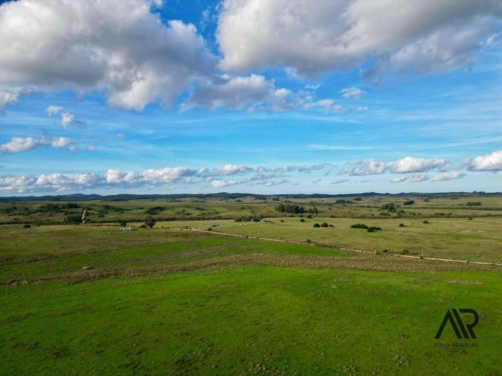 Chacras de 3ha/60 ha en Garzón, con caminería y luz en l...