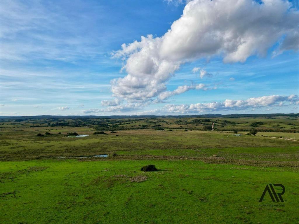 Chacras de 3ha/60 ha en Garzón, con caminería y luz en l...