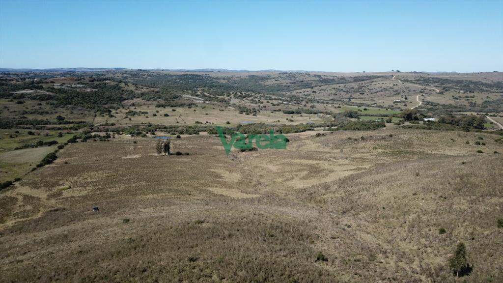 Campo de 86 has a la altura del km 58 Ruta 39