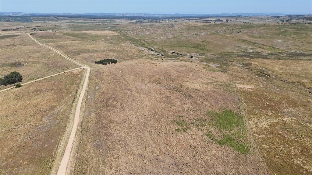 Campo Ganadero en Maldonado