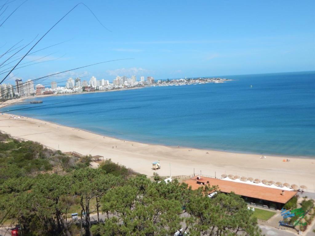 Espectacular planta, reciclada con materiales de