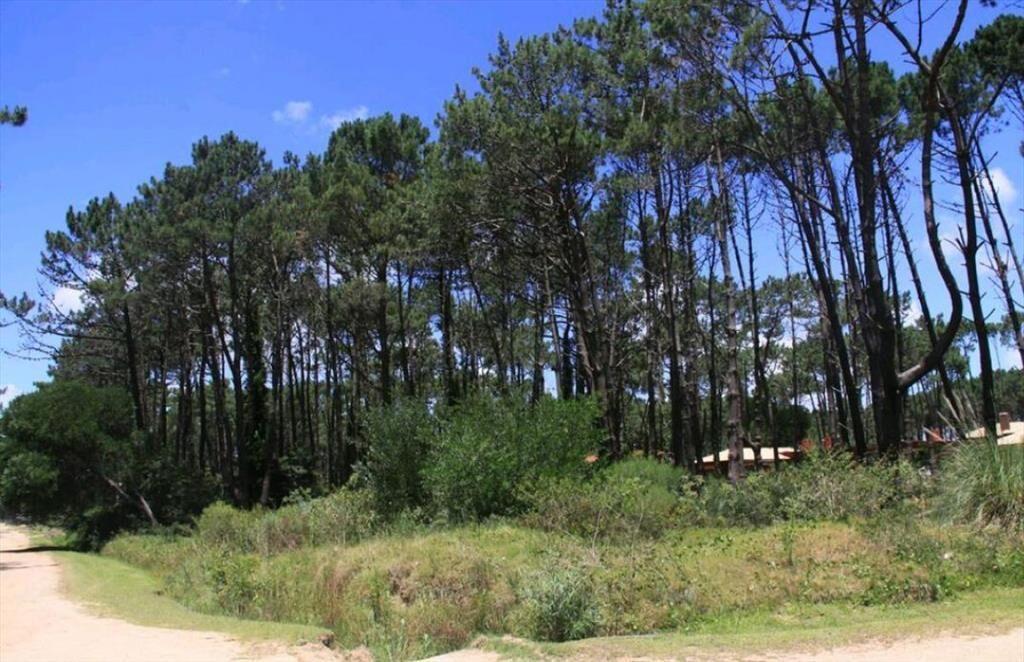 VENTA DE LOTE EN BARRIO PRIVADO LAGUNA BLANCA LA BARRA