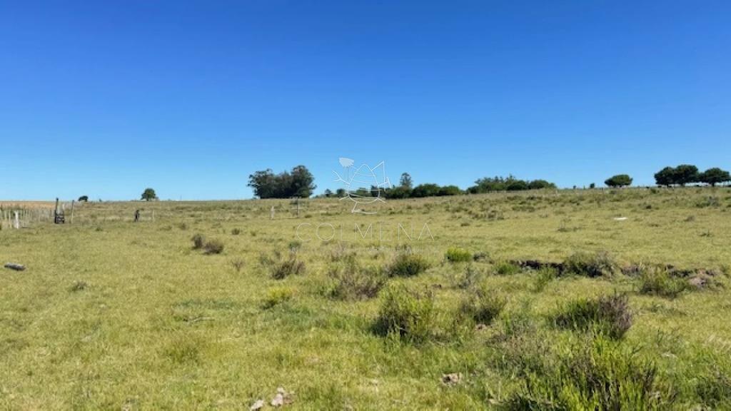 Se venden 2 chacras a 15 km de San Carlos