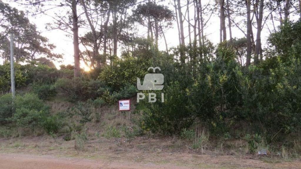 Terreno en venta Chihuahua - Ref : PBI904